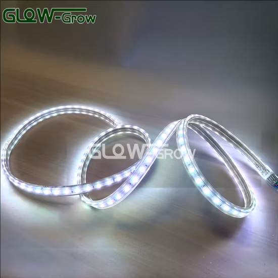 크리스마스 장식 유연한 DC12V/24V SMD2835 3528 5050 LED 스트립 빛 라이트 박스 LED 편지 야외 광고 장식